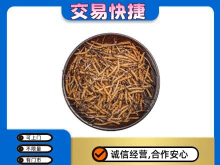 阿坝理县回收散虫草